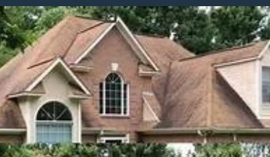Before — Roof Soft Washing