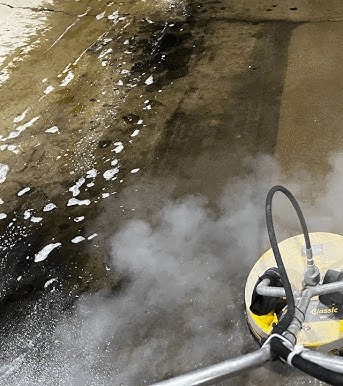 Before — Driveway Cleaning