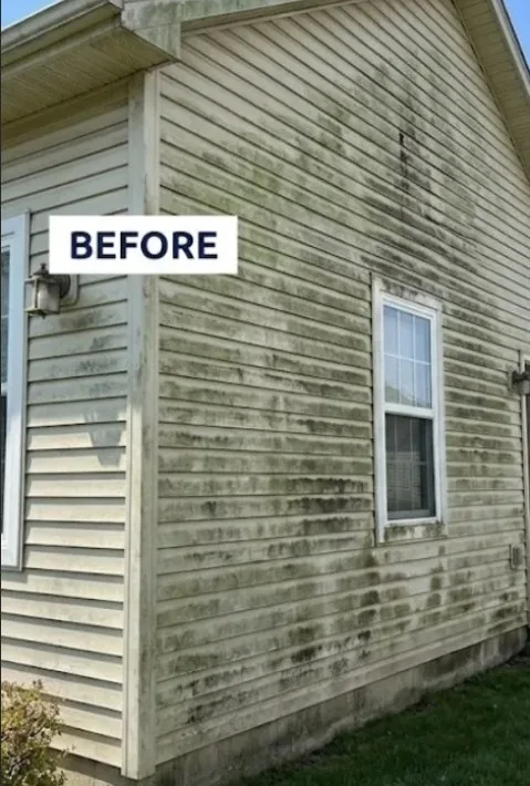 Before soft washing — algae and grime on a Proctor, MN home exterior