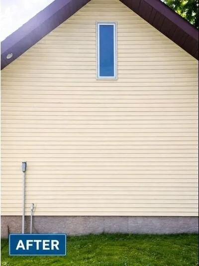 After — Residential Soft Wash