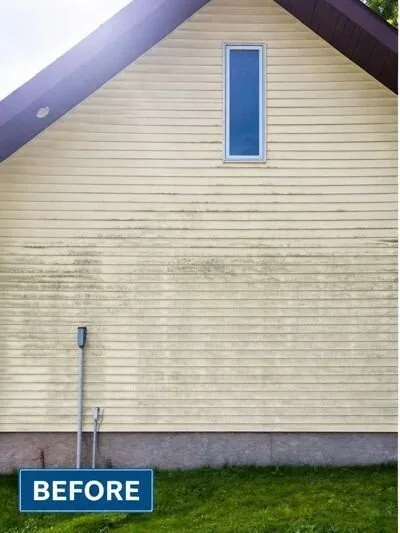 Before — Residential Soft Wash
